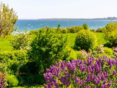 Ferienwohnung für 5 Personen (95 m²) in Boltenhagen (Ostseebad) 8/10