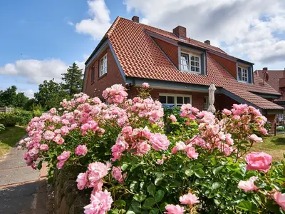 Ferienwohnung für 2 Personen (45 m²) in Wyk auf Föhr 1/10