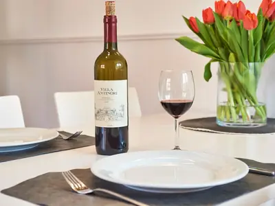 Ferienwohnung für 2 Personen (45 m²) in Wyk auf Föhr 7/10