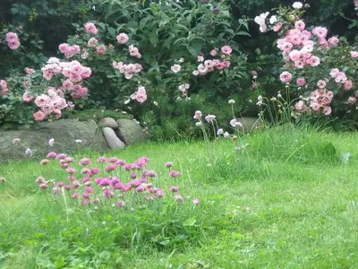 Ferienwohnung für 4 Personen (73 m²) in Westerland (Sylt) 10/10