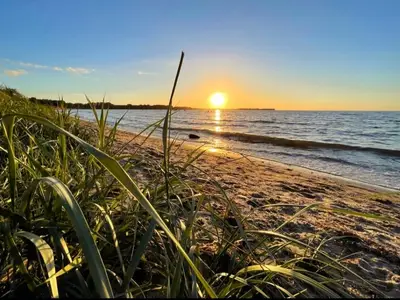 Ferienwohnung für 4 Personen (45 m²) 6/10