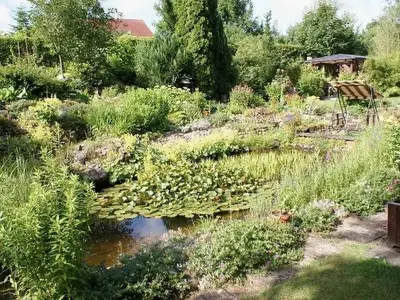 Ferienwohnung für 2 Personen (45 m²) in Pinnow (Parchim) 9/10