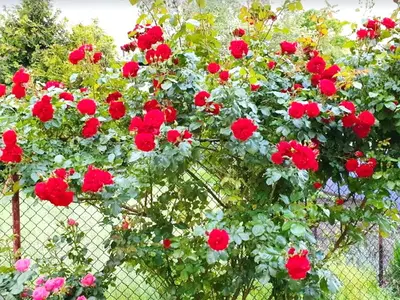 Ferienwohnung für 2 Personen (60 m²) 3/10