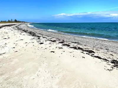 Ferienwohnung für 4 Personen (55 m²) in Fehmarn / Altenteil 7/10