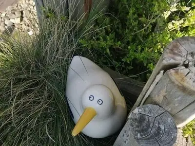 Ferienwohnung für 4 Personen (50 m²) in Dorum Neufeld 8/10