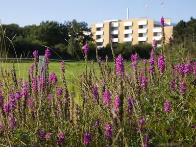 Ferienwohnung für 4 Personen in Cuxhaven 2/10