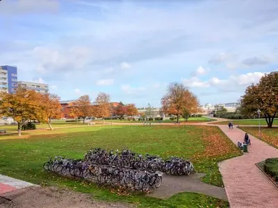 Ferienwohnung für 3 Personen (45 m²) in Heiligenhafen 2/10