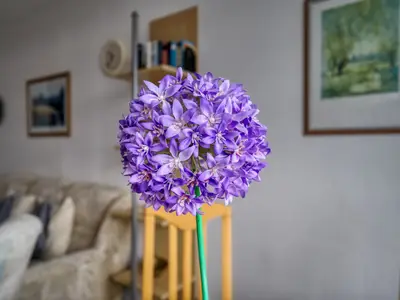 Ferienwohnung für 4 Personen (45 m²) in Heiligenhafen 8/10