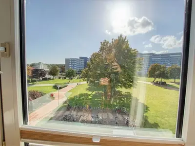 Ferienwohnung für 6 Personen (53 m²) in Heiligenhafen 2/10