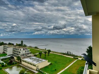 Ferienwohnung für 4 Personen (46 m²) in Großenbrode 2/10