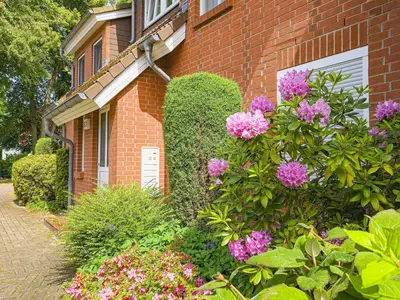 Ferienwohnung für 4 Personen (50 m²) in Zingst 3/10