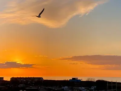 Ferienwohnung für 2 Personen (37 m²) in Heiligenhafen 3/10