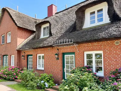 Ferienwohnung für 4 Personen (68 m²) in Nieblum 1/10