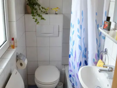 Ferienwohnung für 2 Personen (28 m²) in Heringsdorf (Seebad) 2/5