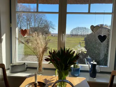 Ferienwohnung für 3 Personen (45 m²) in Born am Darß 7/10