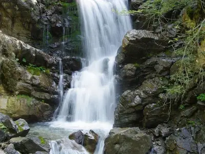 Ferienwohnung für 4 Personen (60 m²) in Fischen im Allgäu 10/10