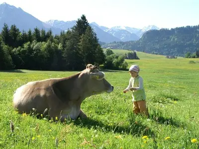 Ferienwohnung für 4 Personen (54 m²) in Bolsterlang 4/10