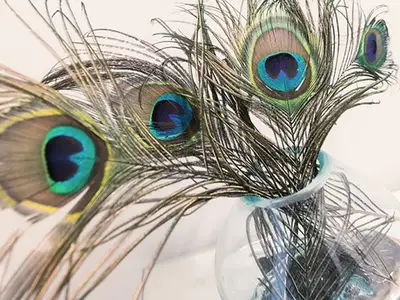 Ferienwohnung für 3 Personen (50 m²) in Sellin (Ostseebad) 7/10