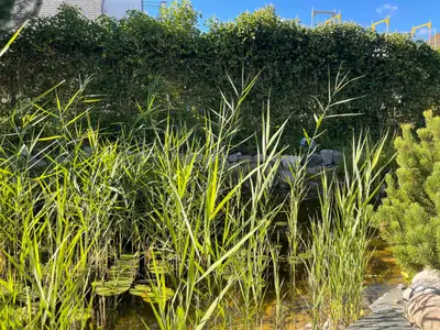 Ferienwohnung für 4 Personen (90 m²) in Timmendorfer Strand 8/10