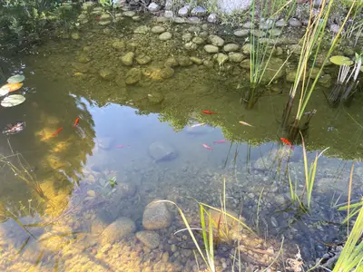 Ferienwohnung für 4 Personen (90 m²) in Timmendorfer Strand 9/10