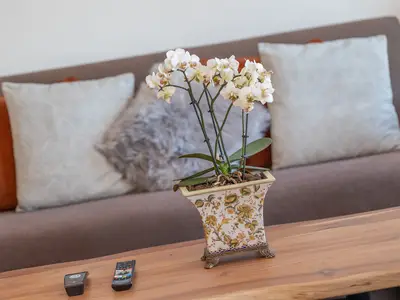 Ferienwohnung für 4 Personen (66 m²) in Lauterbach (Rügen) 6/10