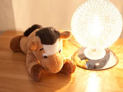 Ferienwohnung für 4 Personen (75 m²) in Sellin (Ostseebad) 9/10