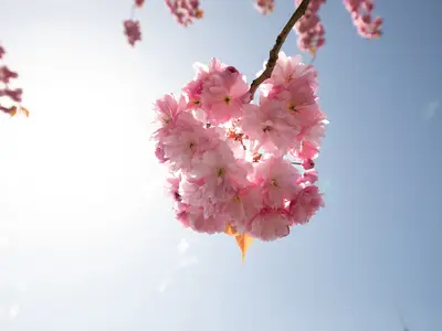 Ferienwohnung für 2 Personen (50 m²) in Mönchgut Auf Rügen 5/10