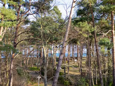 Ferienwohnung für 4 Personen (55 m²) in Baabe 3/10