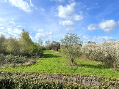 Ferienwohnung für 4 Personen (65 m²) in Boltenhagen (Ostseebad) 7/10