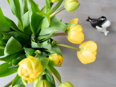 Ferienwohnung für 4 Personen (44 m²) in Norderney 6/10