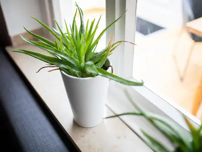 Ferienwohnung für 2 Personen (37 m²) in Norderney 3/10