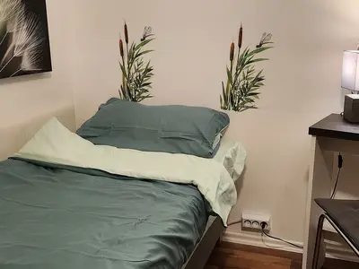 Ferienwohnung für 3 Personen (49 m²) in Hohegeiß 9/10