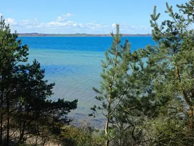 Ferienwohnung für 4 Personen (66 m²) in Hohen Wieschendorf 1/10