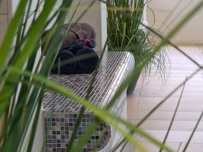 Ferienwohnung für 2 Personen (26 m²) in Duhnen 9/10