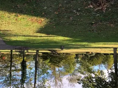 Ferienwohnung für 2 Personen (45 m²) in Kägsdorf 8/10