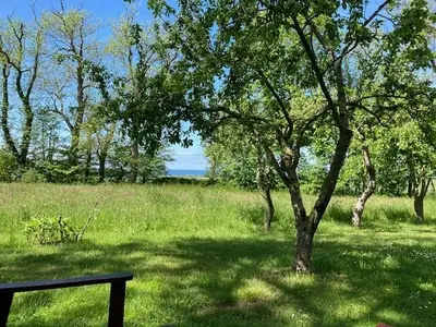Ferienwohnung für 2 Personen (45 m²) in Kägsdorf 10/10