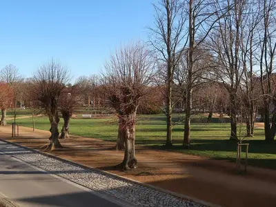 Ferienwohnung für 3 Personen (50 m²) in Ostseebad Kühlungsborn 10/10