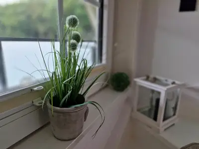 Ferienwohnung für 4 Personen (65 m²) in Wyk auf Föhr 5/10