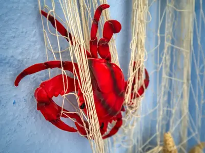 Ferienwohnung für 4 Personen (45 m²) in Heiligenhafen 5/10