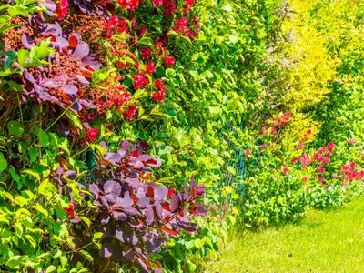 Ferienwohnung für 4 Personen (75 m²) in Boltenhagen (Ostseebad) 10/10