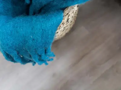 Ferienwohnung für 5 Personen (70 m²) in Norderney 6/10