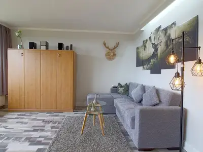 Ferienwohnung für 4 Personen (49 m²) in Hohegeiß 5/10