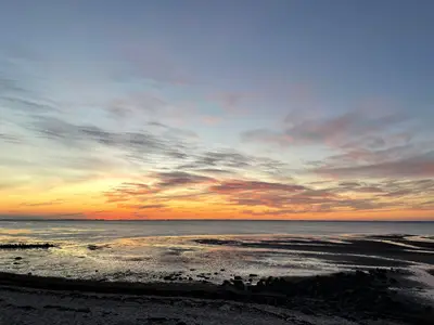 Ferienwohnung für 4 Personen (60 m²) in Utersum 4/9