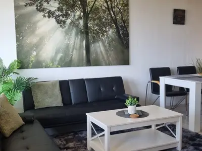 Ferienwohnung für 4 Personen (49 m²) in Hohegeiß 8/10