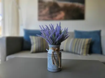 Ferienwohnung für 3 Personen (60 m²) in Wyk auf Föhr 6/10