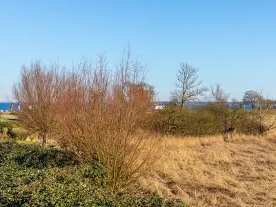 Ferienwohnung für 4 Personen (62 m²) in Boltenhagen (Ostseebad) 9/10