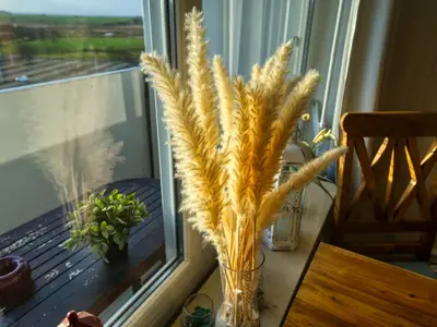 Ferienwohnung für 4 Personen (45 m²) in Heiligenhafen 9/10