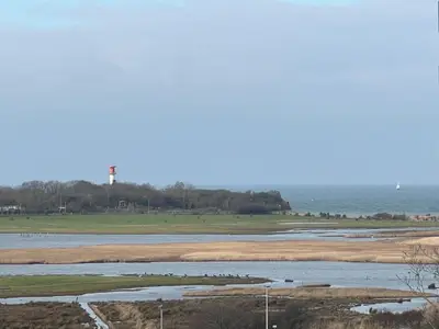 Ferienwohnung für 4 Personen (45 m²) in Heiligenhafen 10/10