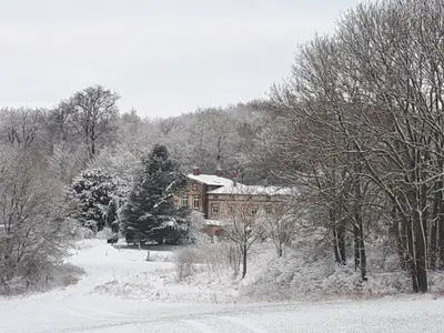 20210130_090915_small_size