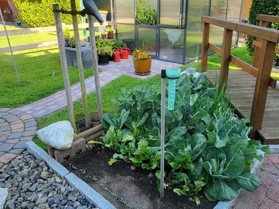 Ferienwohnung für 2 Personen (43 m²) in Neuharlingersiel 10/10